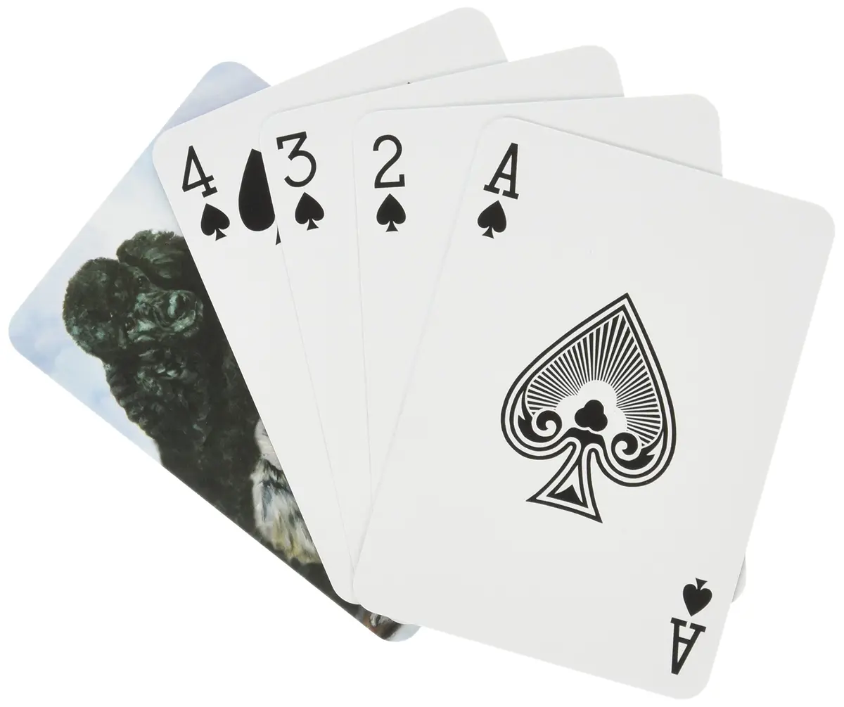 Best Nest Wellness Best Friends Playing Cards - Ruth Maystead Poodle | Standard Poker Size 3.5x2.5" - view 2