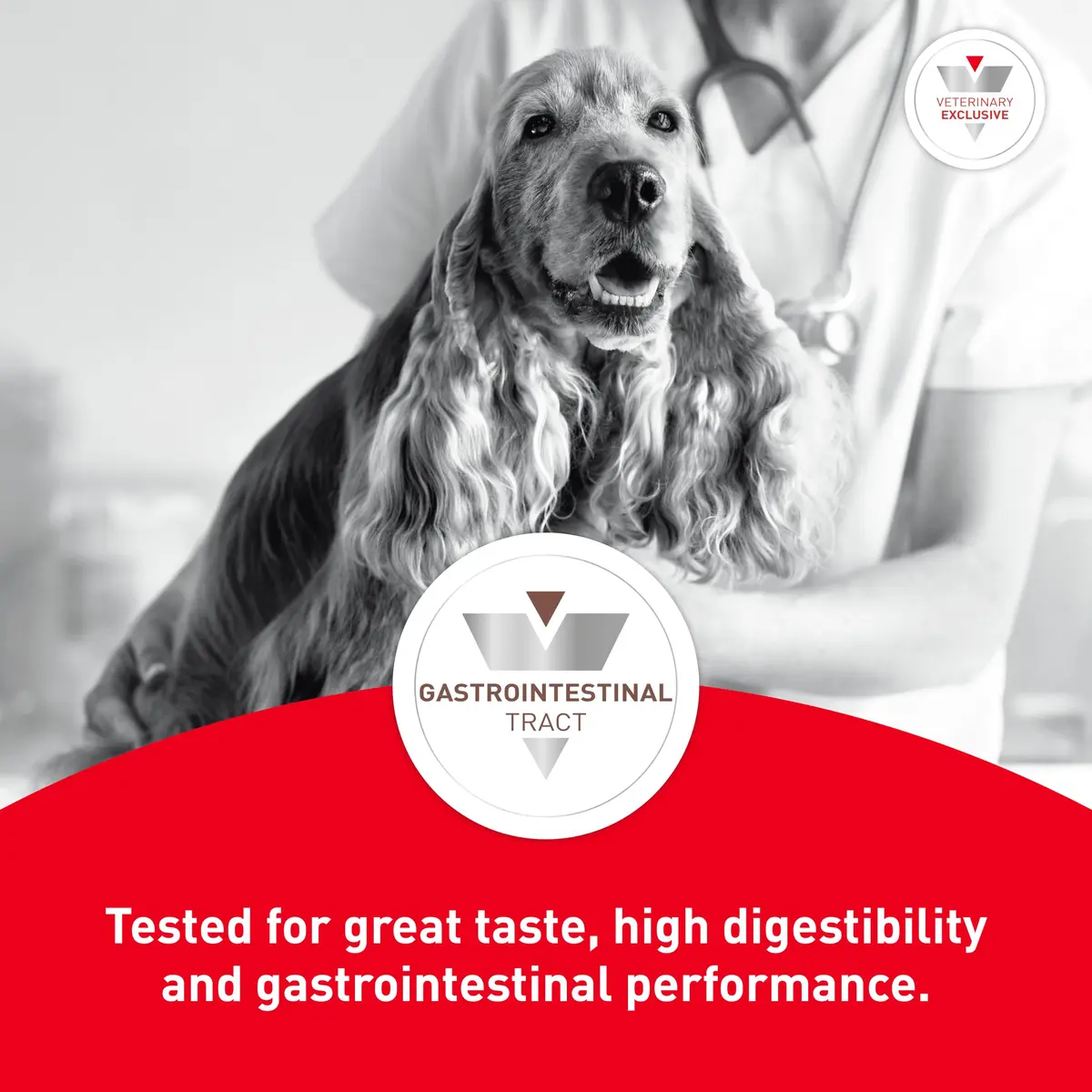 ROYAL CANIN Veterinary Diet Canine Gastrointestinal Low Fat Adult Dry Dog Food, 17.6 lb Bag | Digestive Support for Sensitive Dogs - view 8