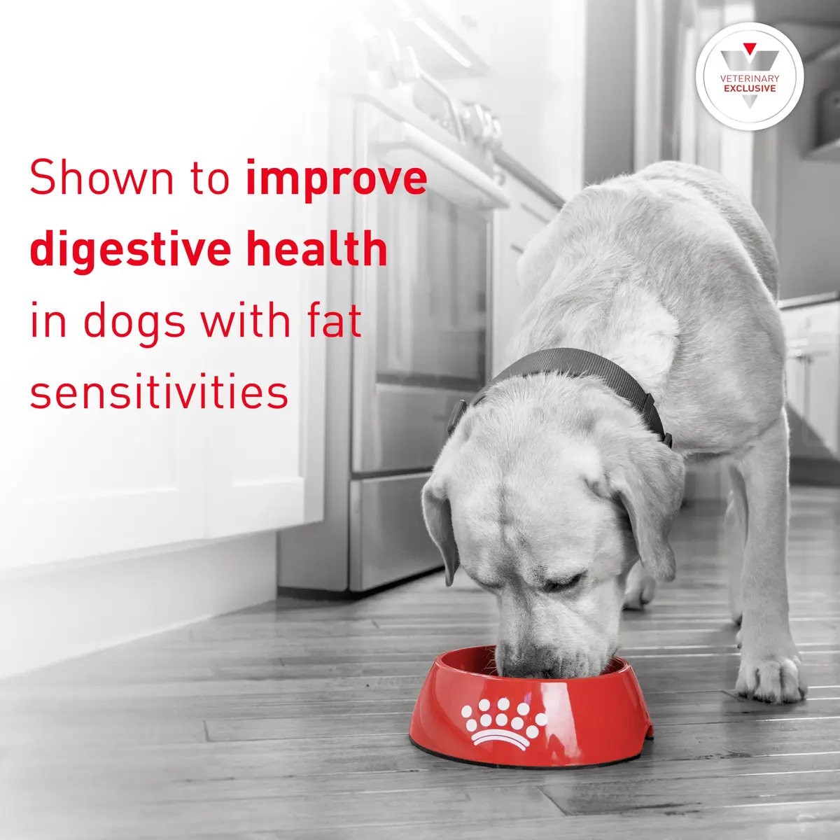 ROYAL CANIN Veterinary Diet Canine Gastrointestinal Low Fat Adult Dry Dog Food, 17.6 lb Bag | Digestive Support for Sensitive Dogs - view 2
