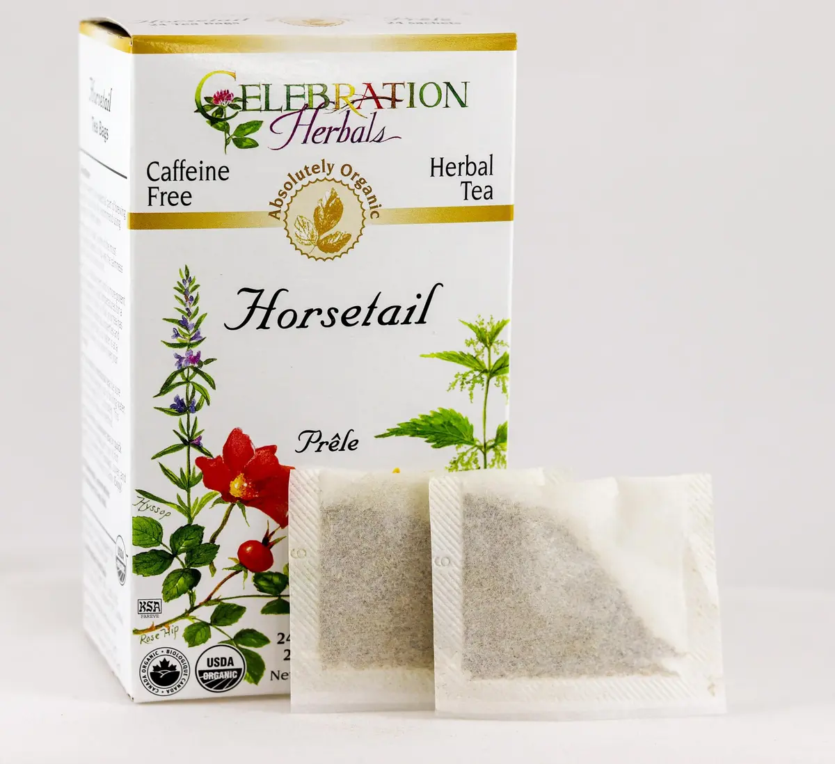 Celebration Herbals Horsetail Tea Organic 24 Bag | Ancient Herb Support in India - view 2
