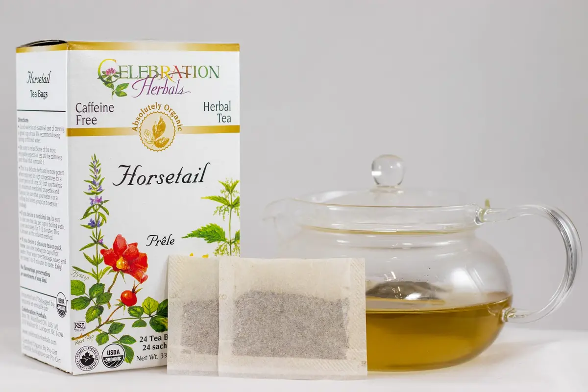 Celebration Herbals Horsetail Tea Organic 24 Bag | Ancient Herb Support in India - view 3