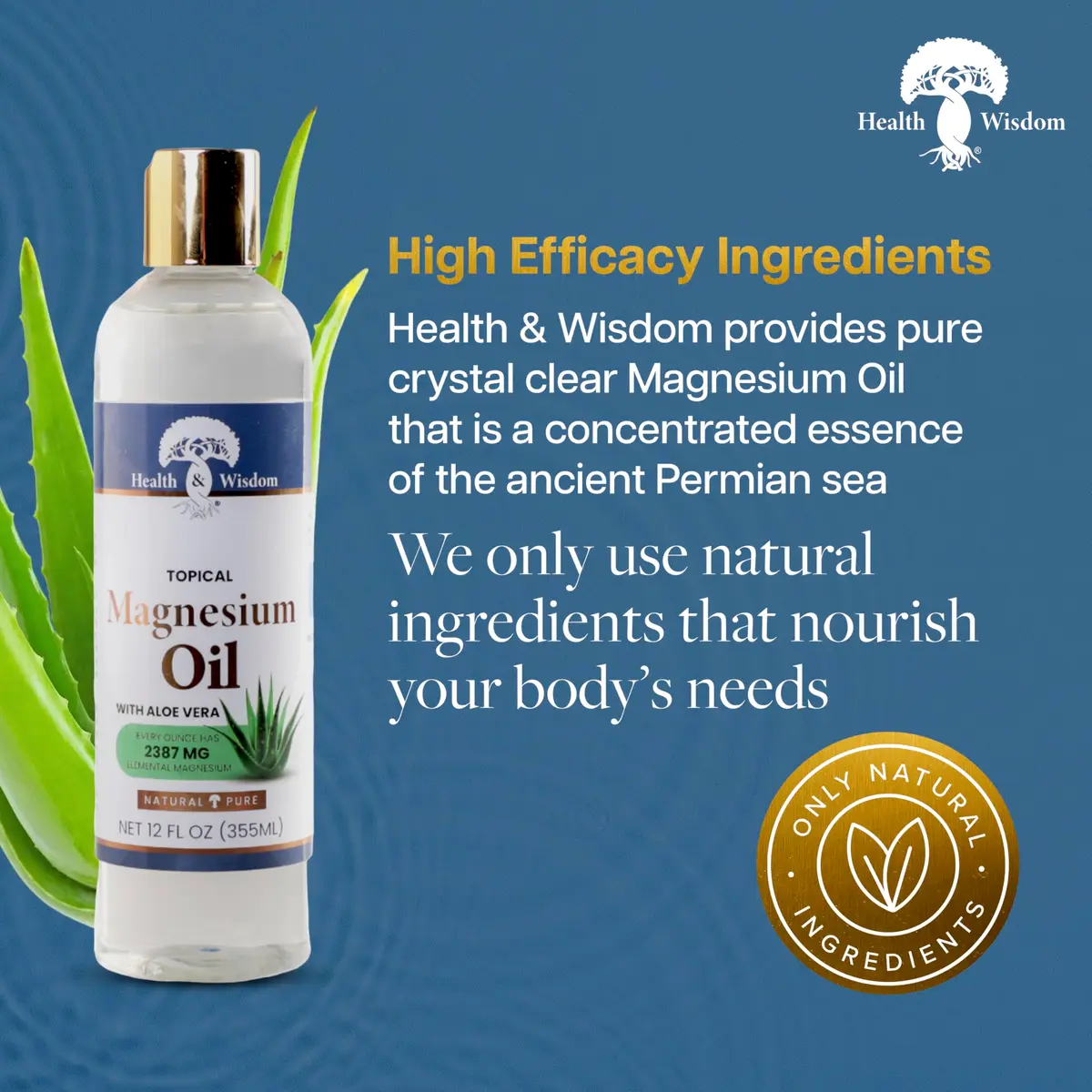 Health & Wisdom Magnesium Oil with Aloe Vera - 12 fl oz | Natural Muscle & Skin Moisturizer - view 3