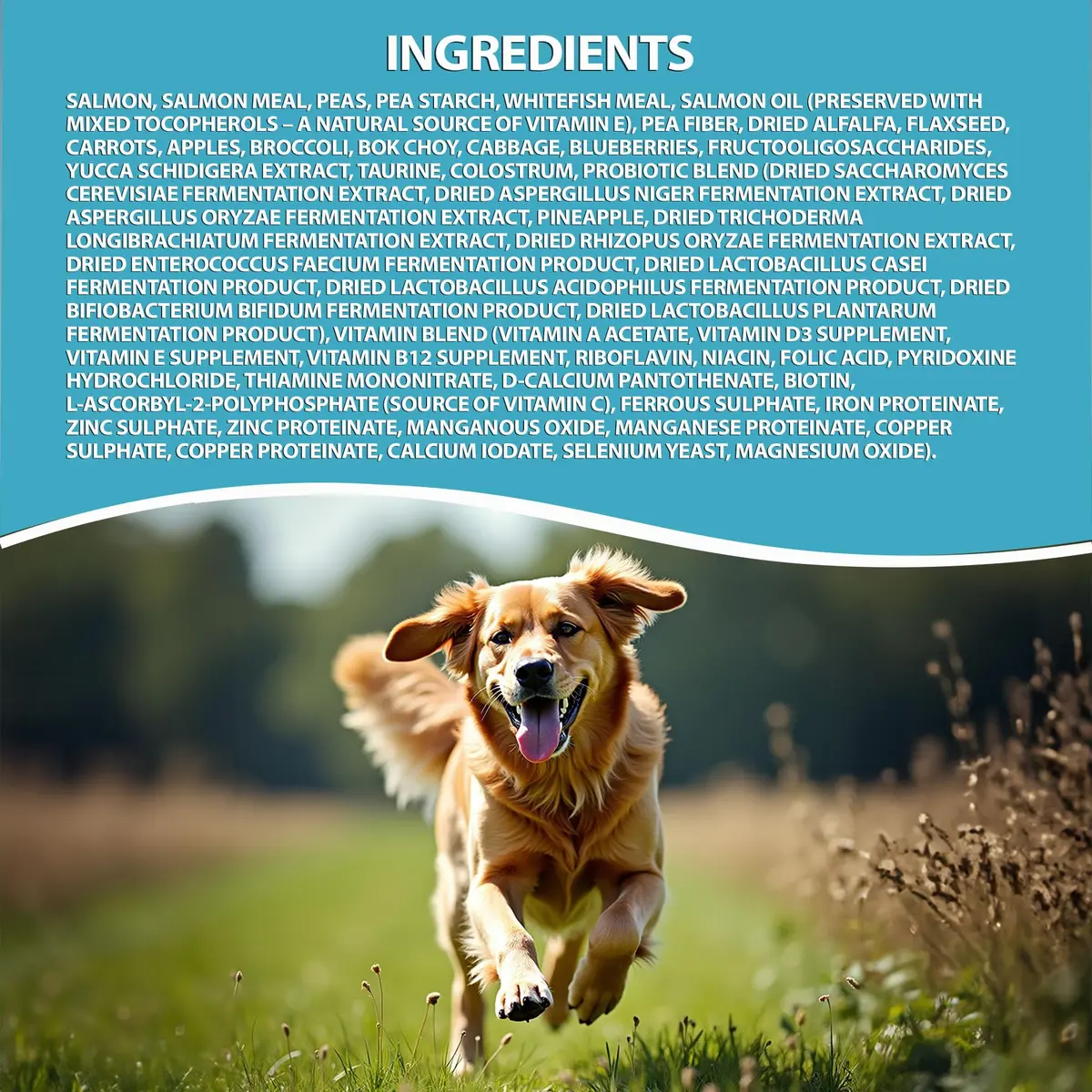 LEGACY High Protein Dog Food — Salmon First, Grain-Free, Immunity Support, All Life Stages, 11.34kg (25 lb) - view 5