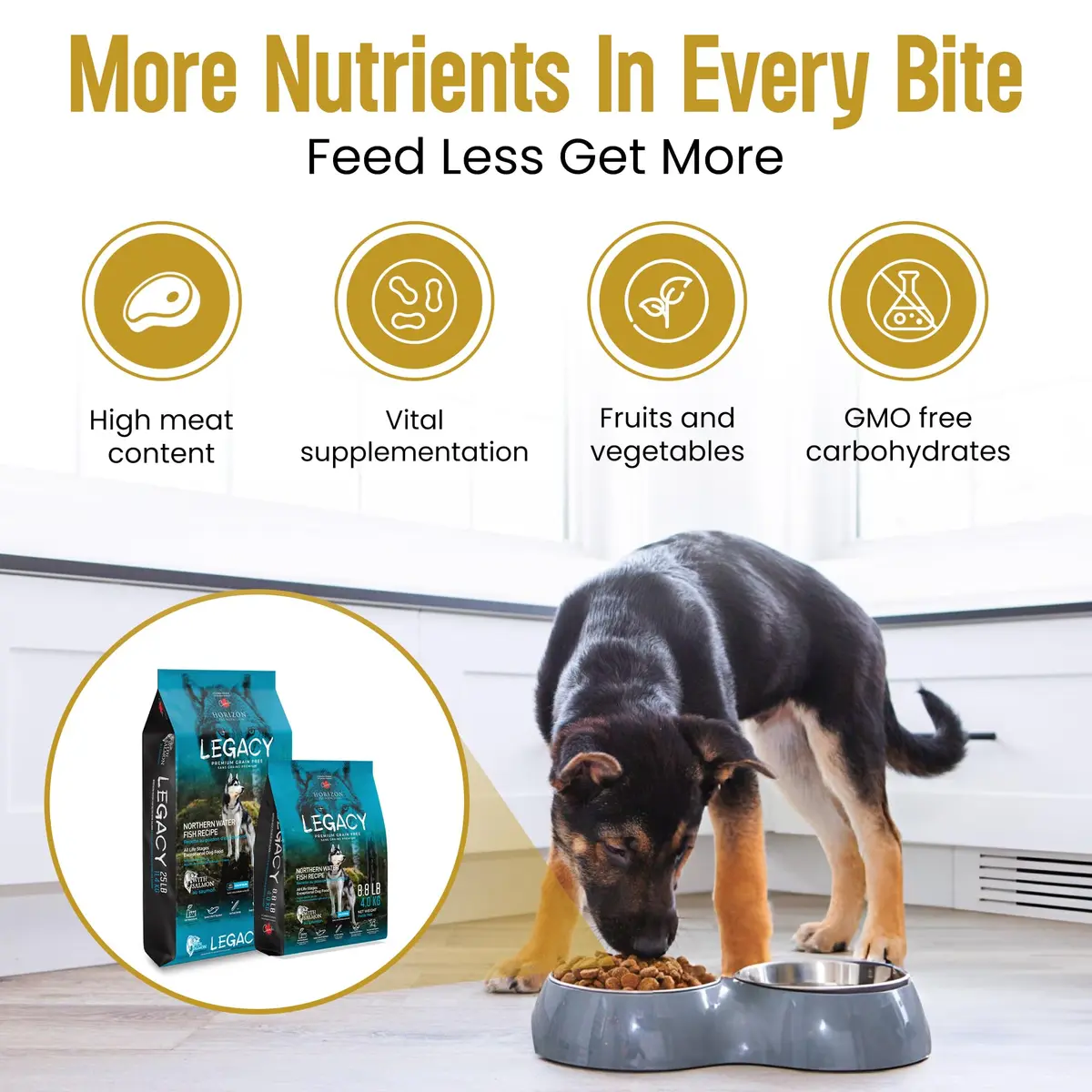LEGACY High Protein Dog Food — Salmon First, Grain-Free, Immunity Support, All Life Stages, 11.34kg (25 lb) - view 3