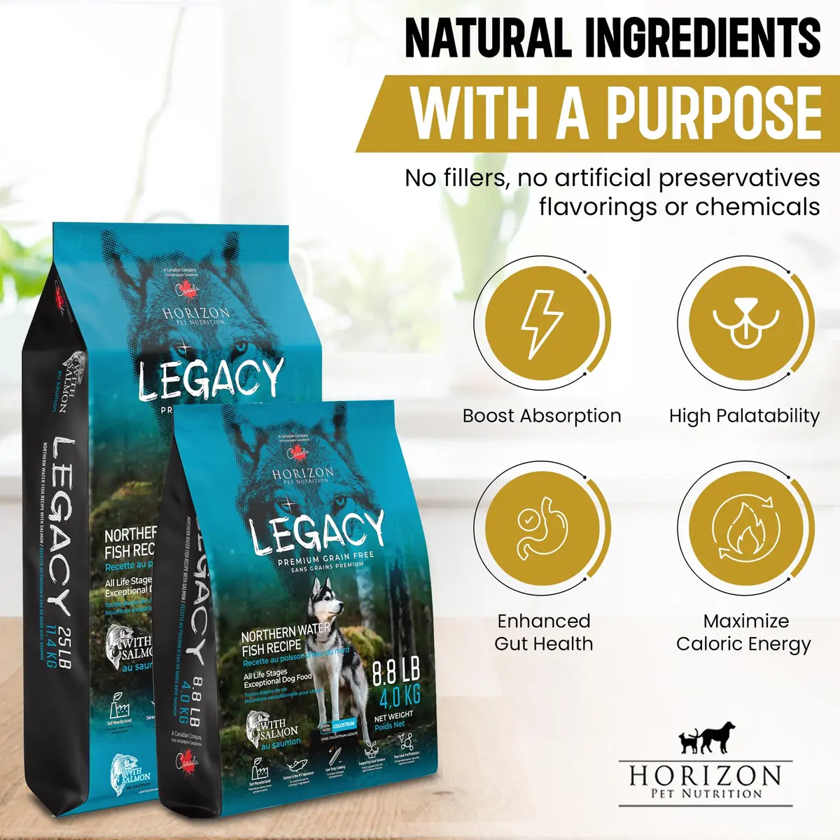 LEGACY High Protein Dog Food — Salmon First, Grain-Free, Immunity Support, All Life Stages, 11.34kg (25 lb) - view 4