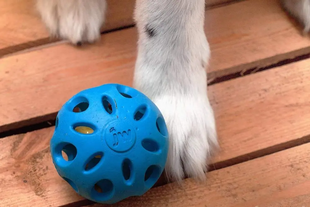 JW Pet Crackle Heads Crunchy Chew Fetch Toy for Dogs, Large 4in | Durable Rubber & Recyclable Plastic - view 4