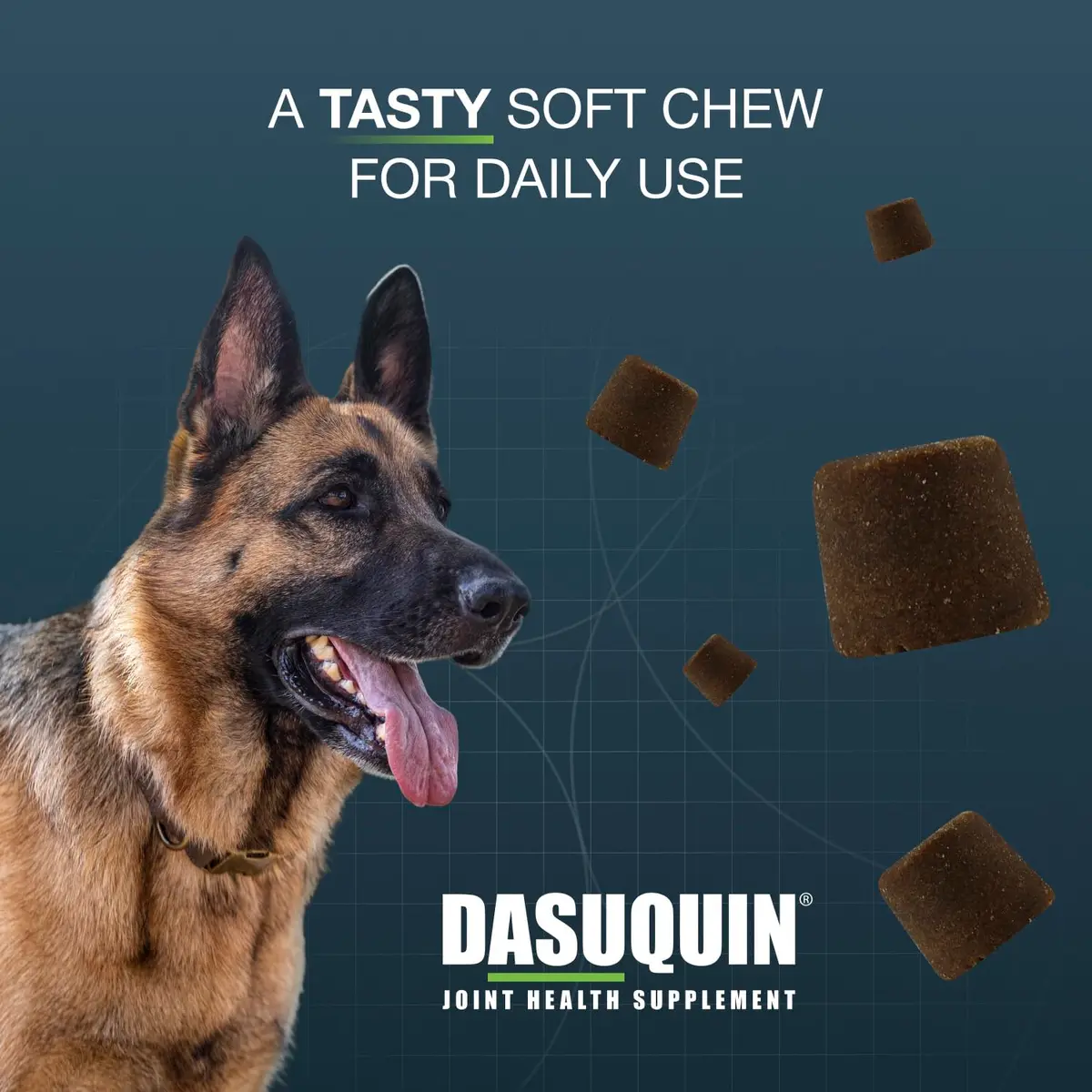 Nutramax Dasuquin MSM Joint Supplement for Large Dogs 150ct | Supports Healthy Joints & Cartilage - view 5