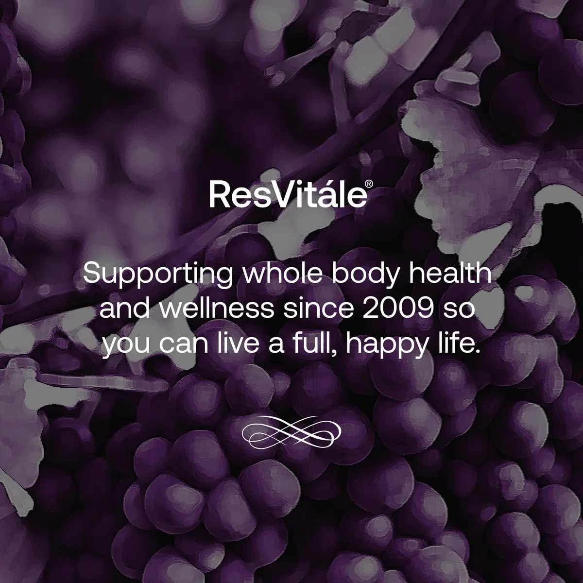 ResVitale Collagen Enhance, 120 Capsules | Supports Skin & Joints, Vegetarian Formula, Hyaluronic Acid & Resveratrol - view 8