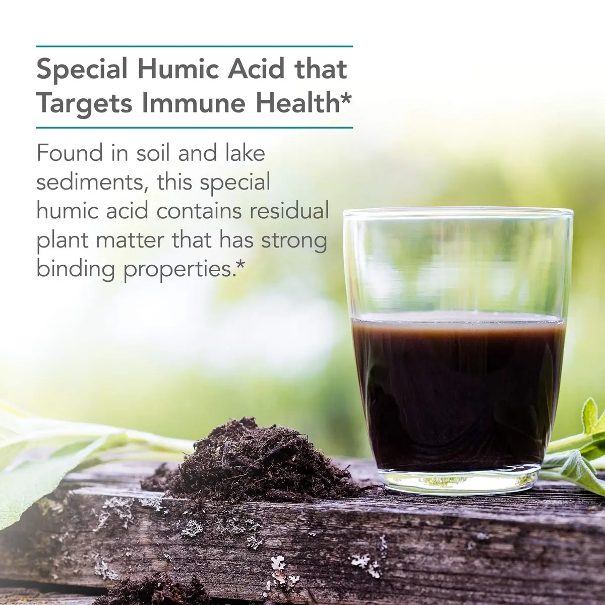 Allergy Research Group Humic Acid 750 mg Capsules | Immune & Detox Support, Hypoallergenic (60 Count) - view 3