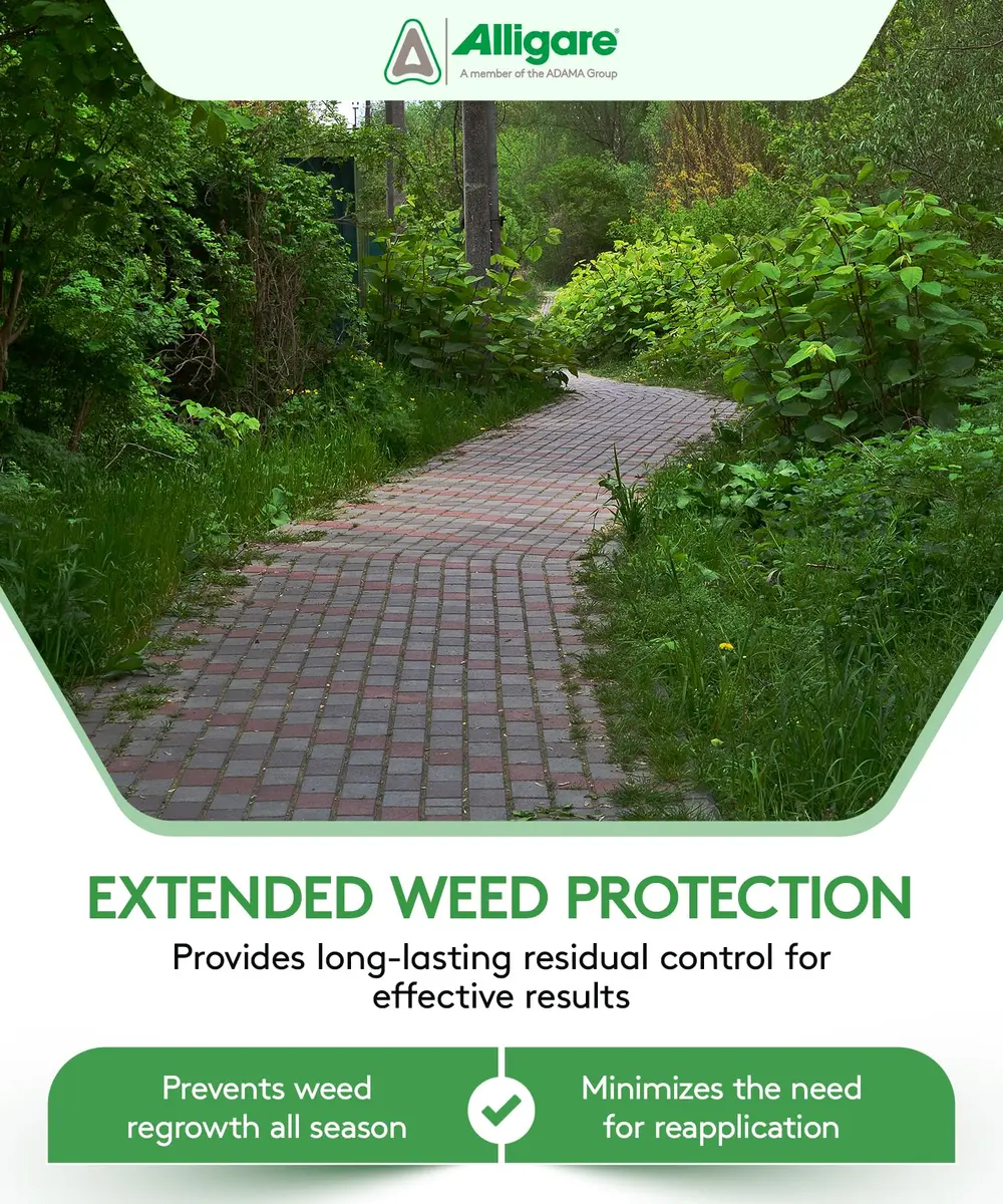 ALLIGARE Mojave 70EG Weed Killer for Grasses, Weeds & Vines | Long-Lasting Residual Bareground Control (70-120c) - view 6