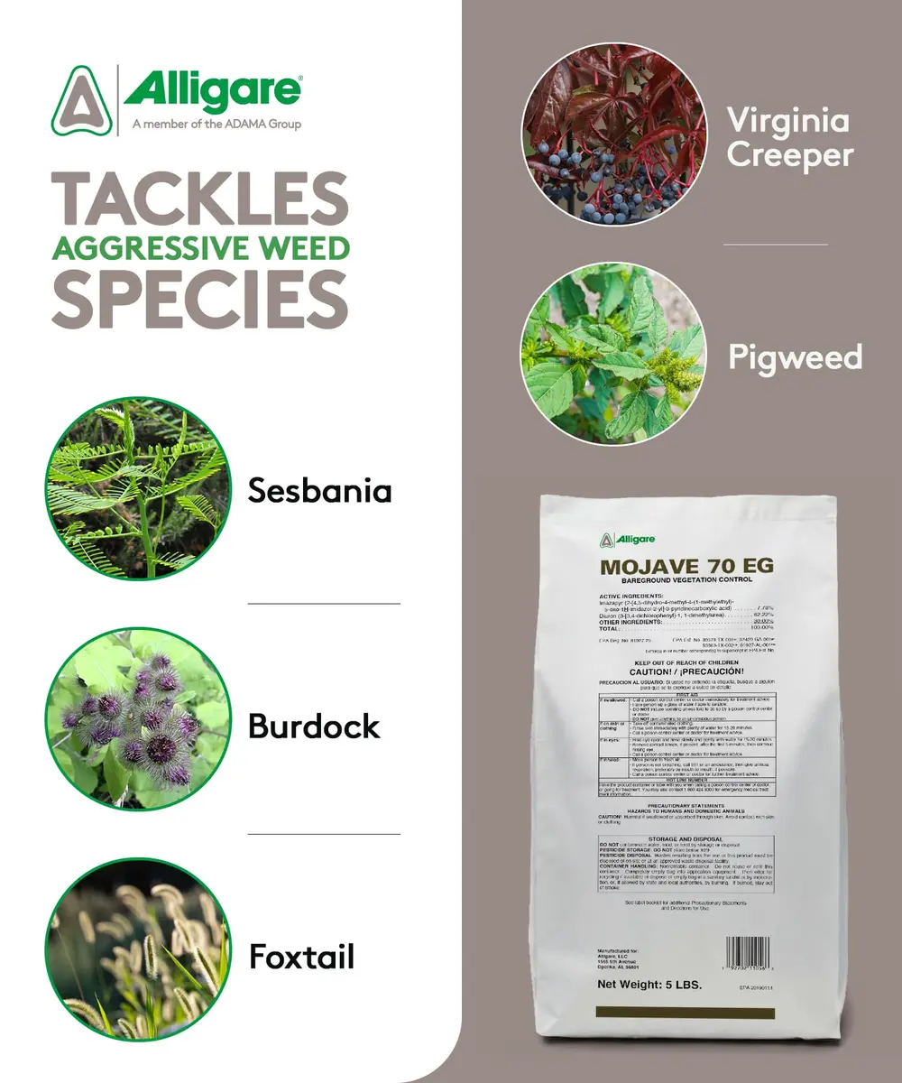ALLIGARE Mojave 70EG Weed Killer for Grasses, Weeds & Vines | Long-Lasting Residual Bareground Control (70-120c) - view 3