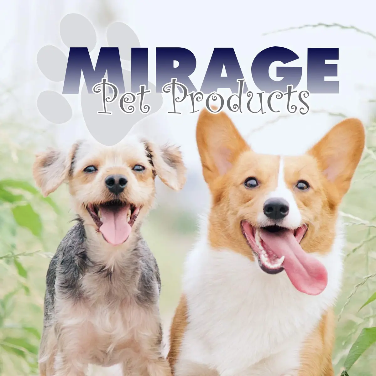 Mirage Pet Products Black Pet Apparel X-Small (18 inches length) | Sleeveless Dog Shirt for Everyday Wear - view 6