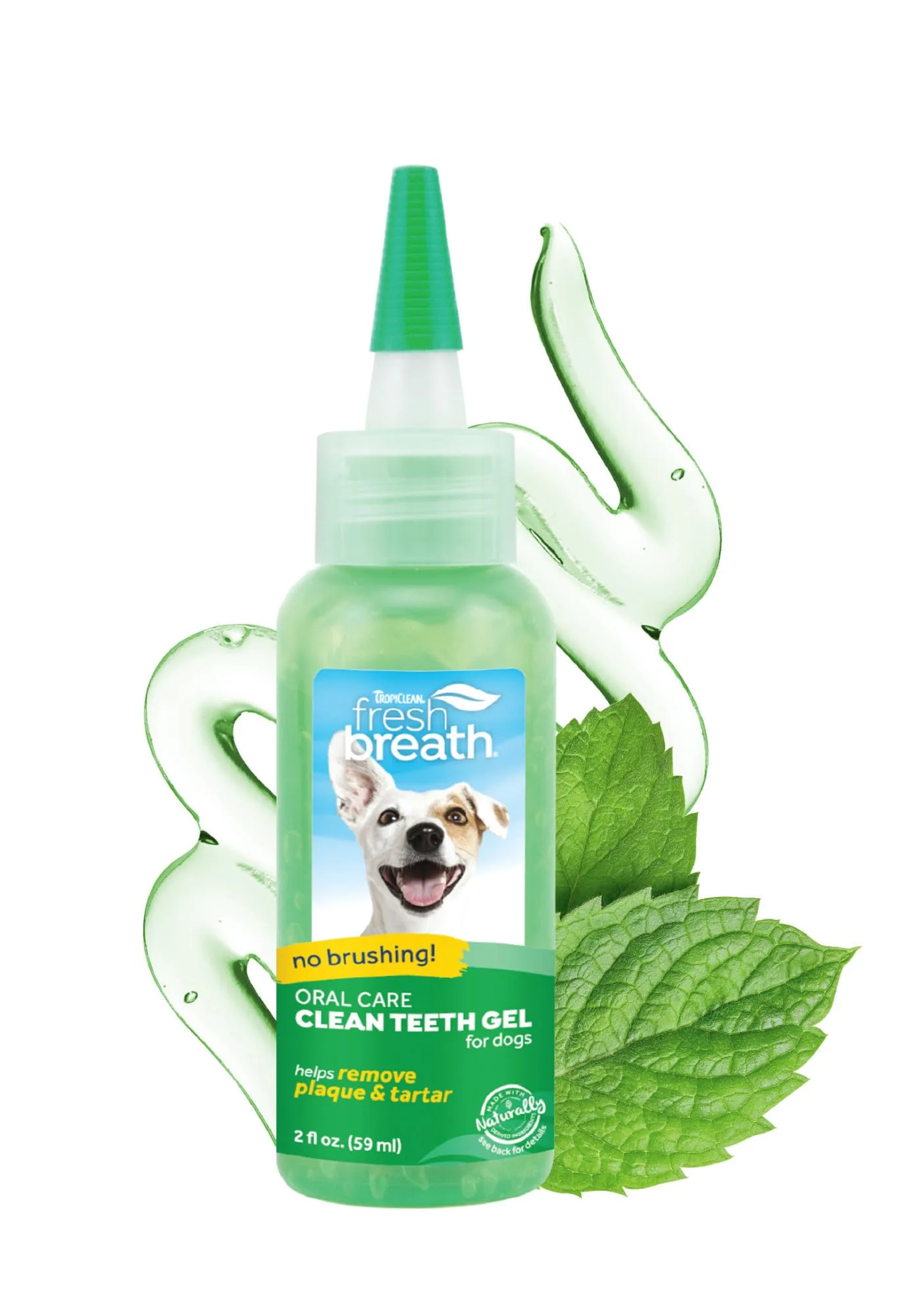 Dental Care
