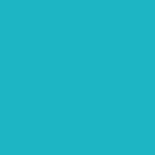 Apple Barrel Acrylic Paint Caribbean 2 oz | Non-Toxic Craft Paint for DIY Projects - main product image