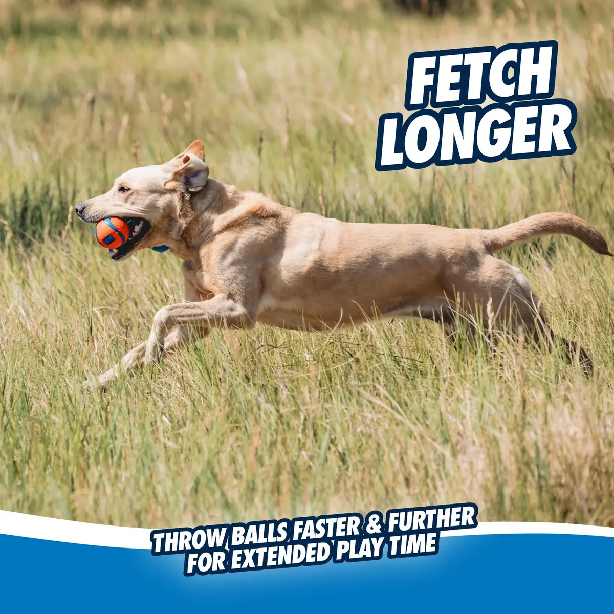 Chuckit! Ultra Tug Dog Toy Medium 2.5" (6.4 cm) | Durable Fetch & Tug Ball for Dogs 20-60lbs - view 5