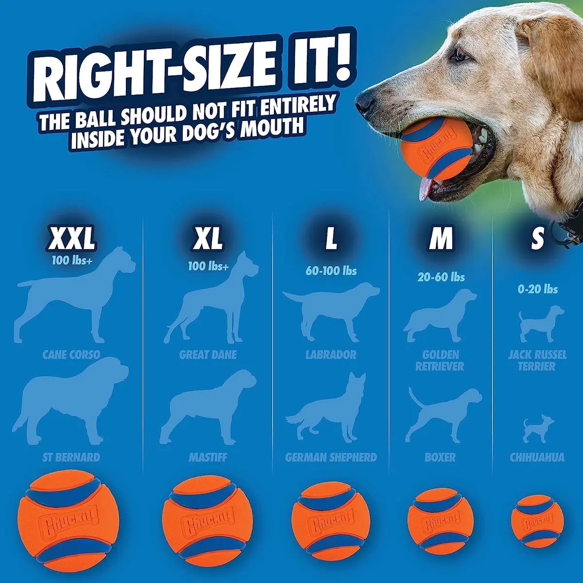 Chuckit! Ultra Duo Tug Toy for Small Dogs (0-20 lbs) | Durable Tug & Fetch Toy for Indoor/Outdoor Play - view 6