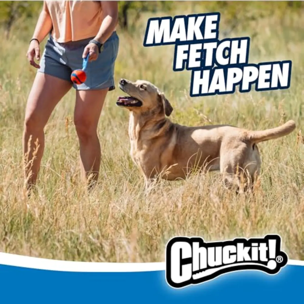 Chuckit! Ultra Tug Dog Toy, Large 3-inch Diameter, 0.1 kg (0.22 lb) | Fetch & Tug Play for Large Breeds - view 3