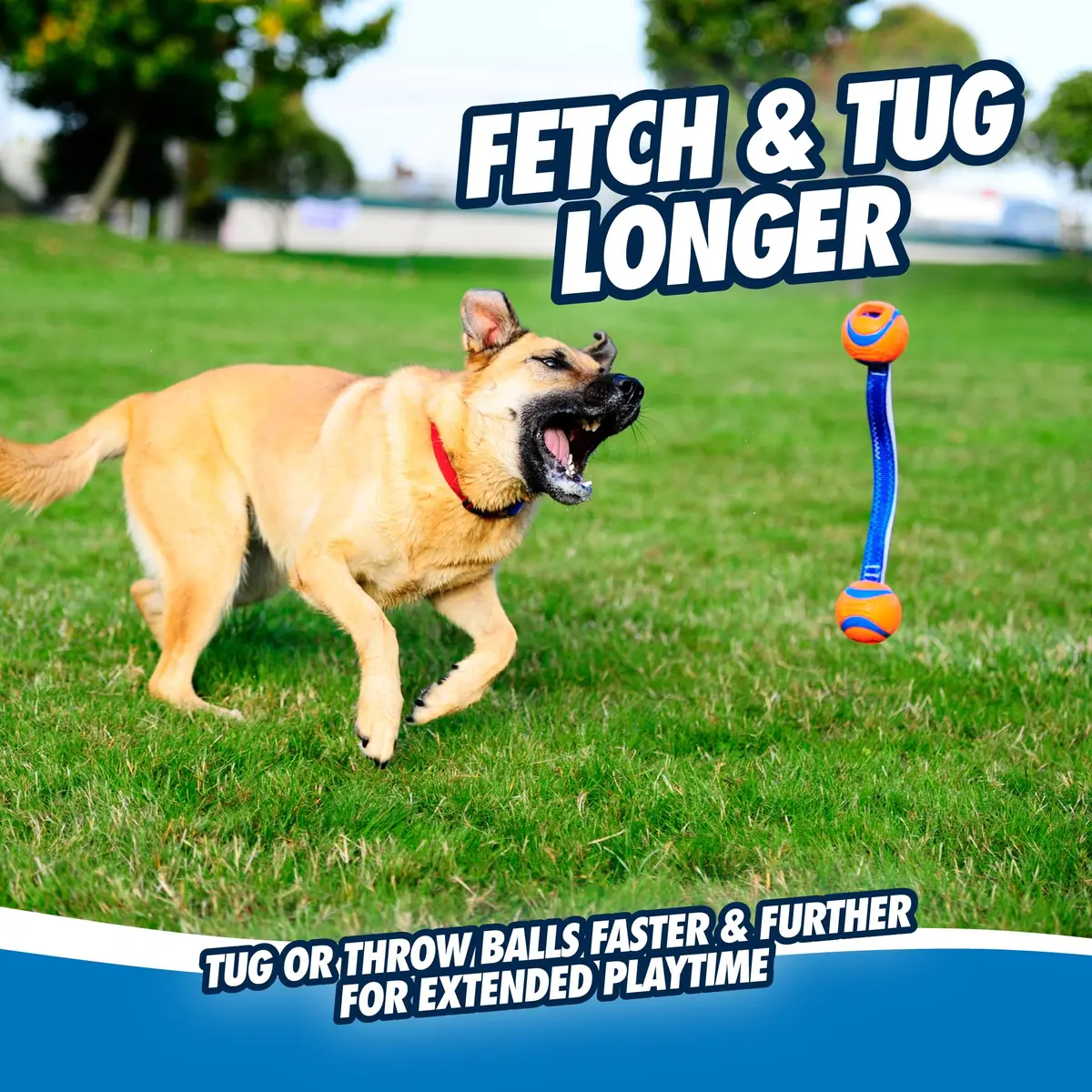 Chuckit! Ultra Duo Tug Dog Toy Medium 2.5in (6.4cm) Orange and Blue | Fetch and Tug-of-War for Dogs 20-60lbs - view 6