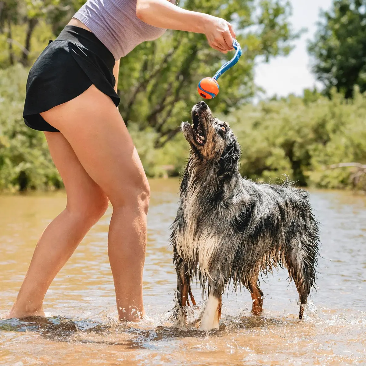 Chuckit! Ultra Duo Tug Dog Toy Medium 2.5in (6.4cm) Orange and Blue | Fetch and Tug-of-War for Dogs 20-60lbs - view 2