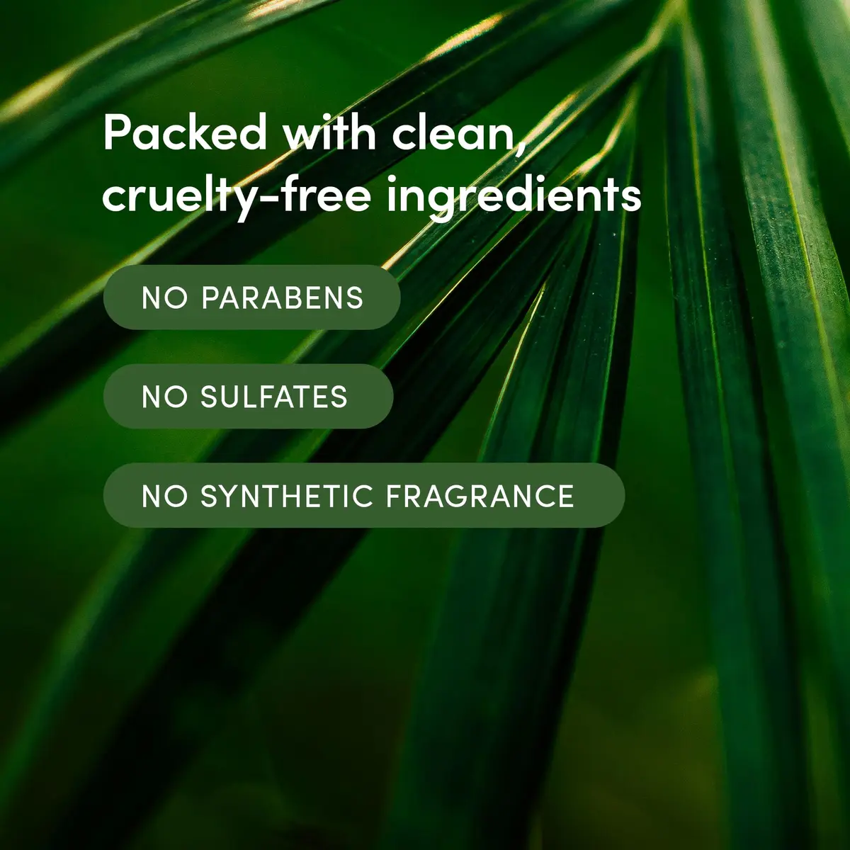 LATHER Bamboo Crème Hair Wash 8 fl oz | Revitalizes Dry, Sensitive Hair with Jojoba Oil & Essential Oils - view 4