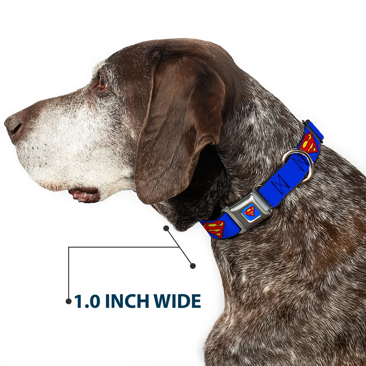 Buckle-Down Superman Seatbelt Dog Collar 15-26" | Vibrant DC Comics Artwork, Made in USA - view 6