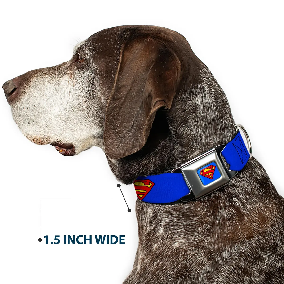 Buckle-Down Superman Seatbelt Dog Collar 15-26" | Vibrant DC Comics Artwork, Made in USA - view 7