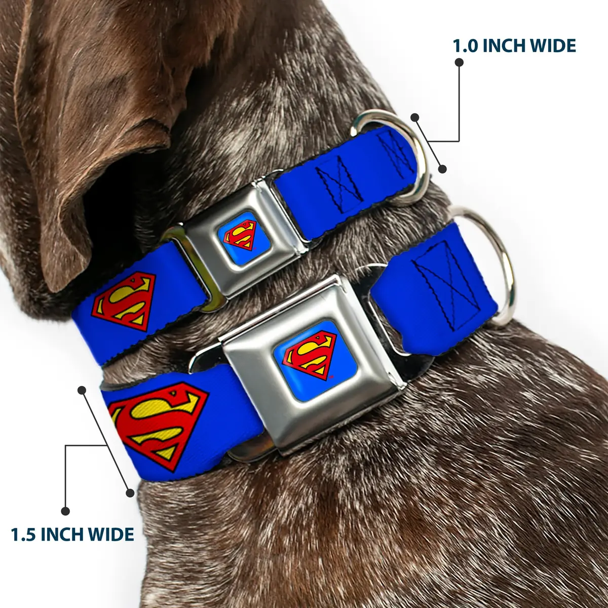Buckle-Down Superman Seatbelt Dog Collar 15-26" | Vibrant DC Comics Artwork, Made in USA - view 2