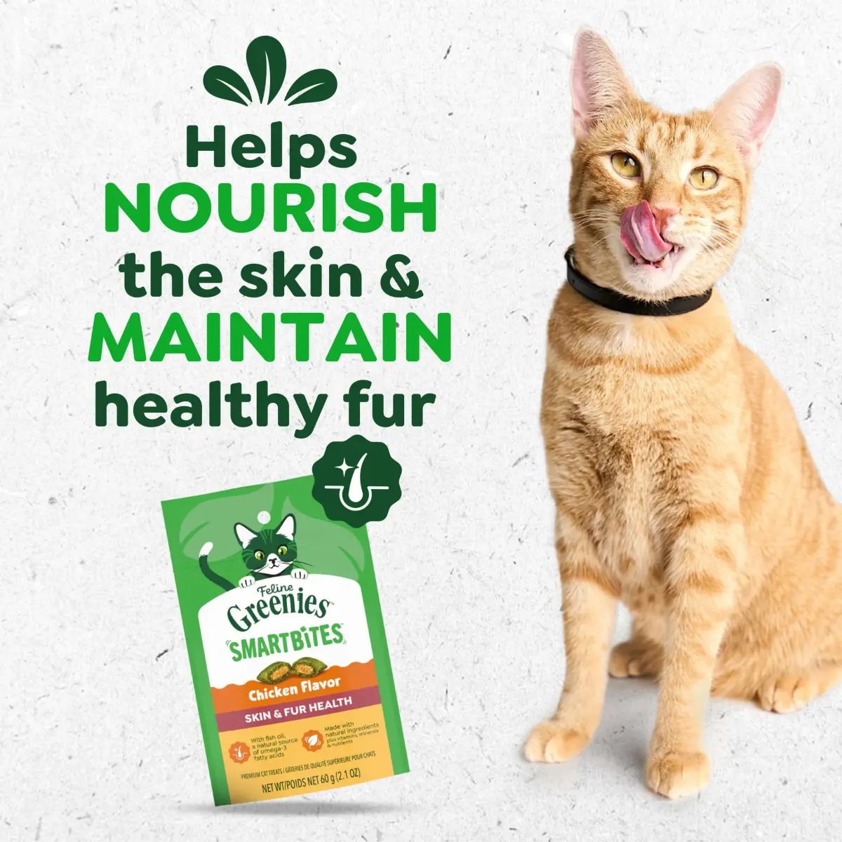Greenies Feline Smartbites Skin & Fur Health Cat Treats, Chicken, 2.1 oz (60 g) | Vet-Designed for Healthy Skin & Fur - view 2