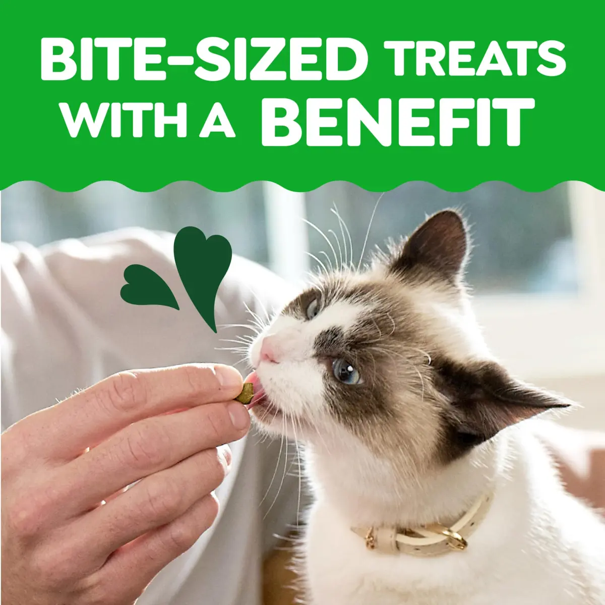 Greenies Feline Smartbites Skin & Fur Health Cat Treats, Salmon, 60g (2.1 oz) | Veterinarian-Formulated for Healthy Skin & Fur - view 6
