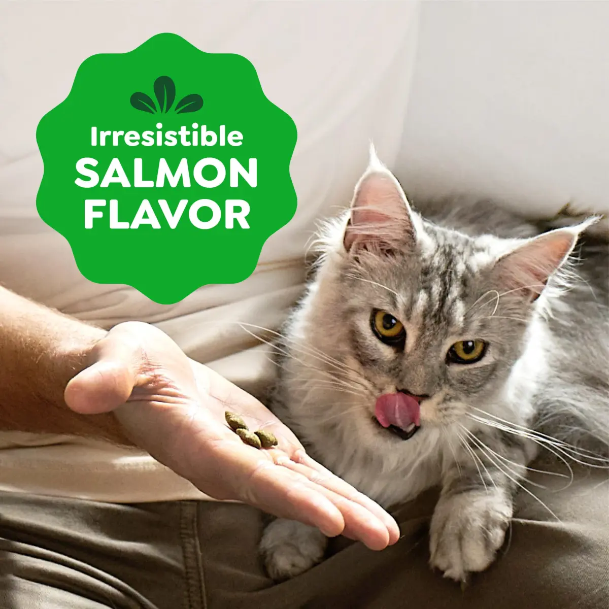 Greenies Feline Smartbites Skin & Fur Health Cat Treats, Salmon, 60g (2.1 oz) | Veterinarian-Formulated for Healthy Skin & Fur - view 7