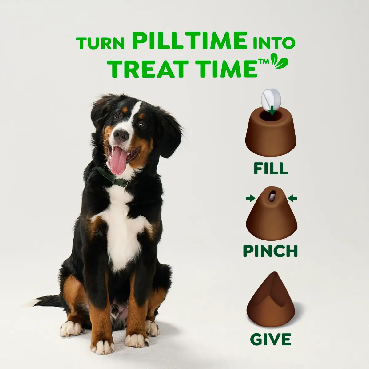 Greenies Pill Pockets Small Size Dog Treats Hickory Smoke Flavor 3.2 oz (90.7 g) | Vet-Recommended for Hiding Pills - view 7