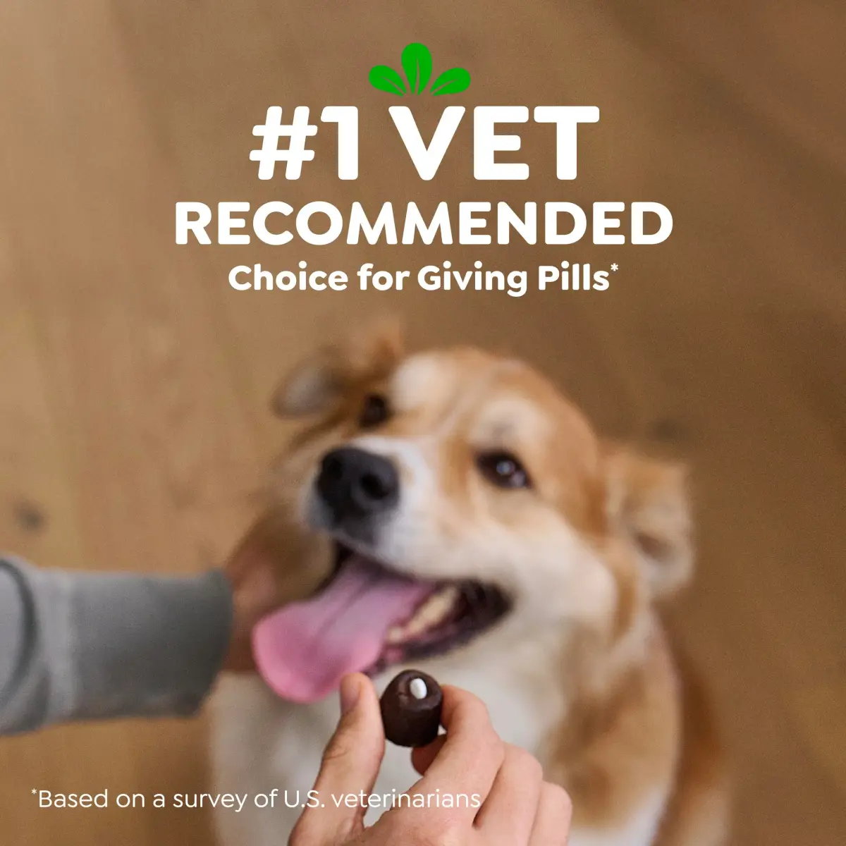 Greenies Peanut Butter Pill Pockets Small Size Dog Treats 30 Count (1.5 oz) | Vet-Recommended for Small Dogs - view 6