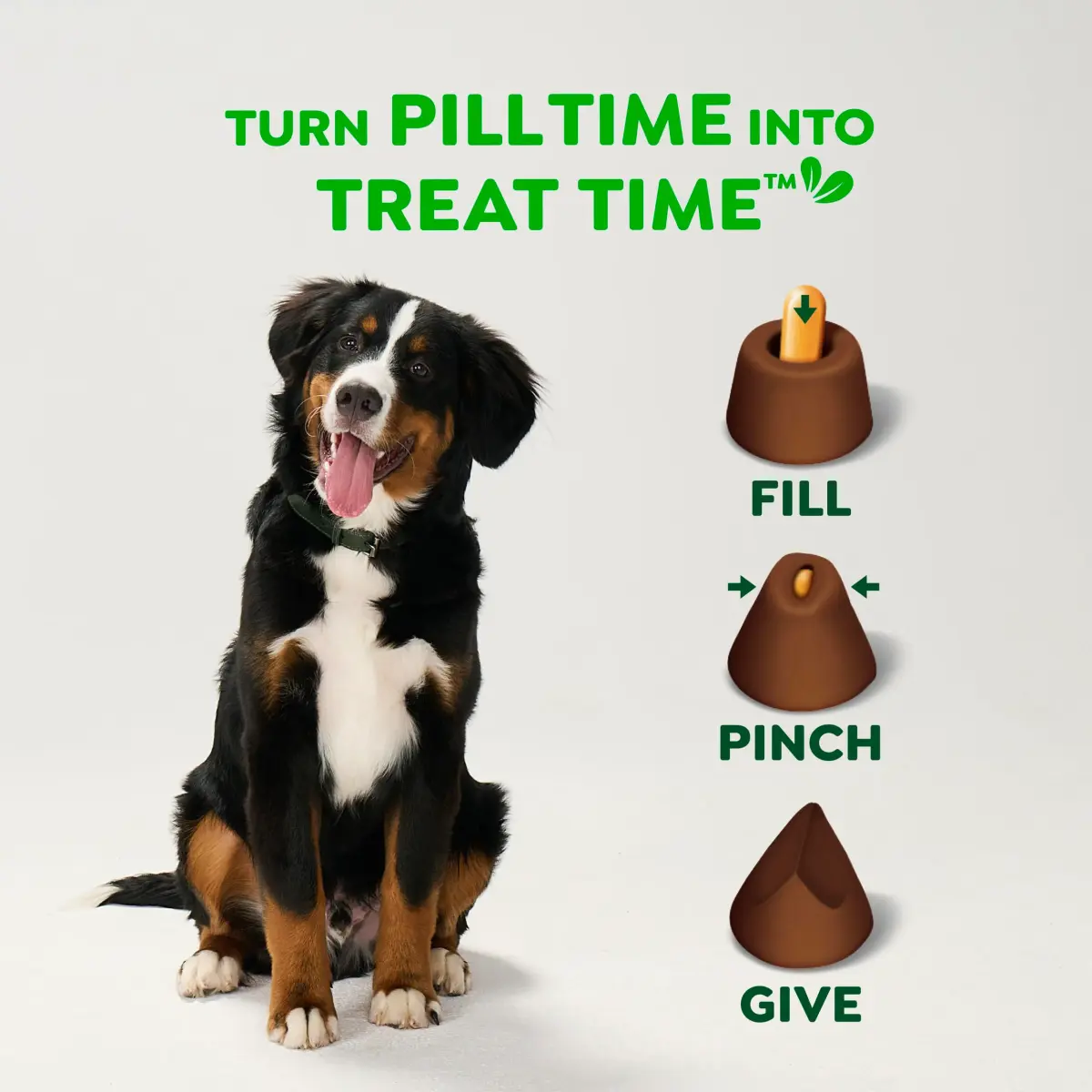 Greenies Pill Pockets Large Size Dog Treats Hickory Smoke 30 Count (240g / 7.9oz) | Vet-Recommended Pill Masking - view 7