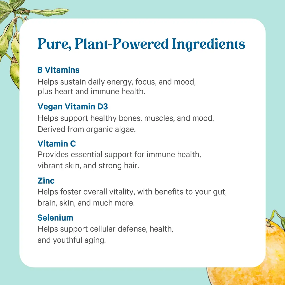 PURE SYNERGY Multi·Vita·Min for Men & Women 60 Tablets | Whole-Food Organic Multivitamin - view 5