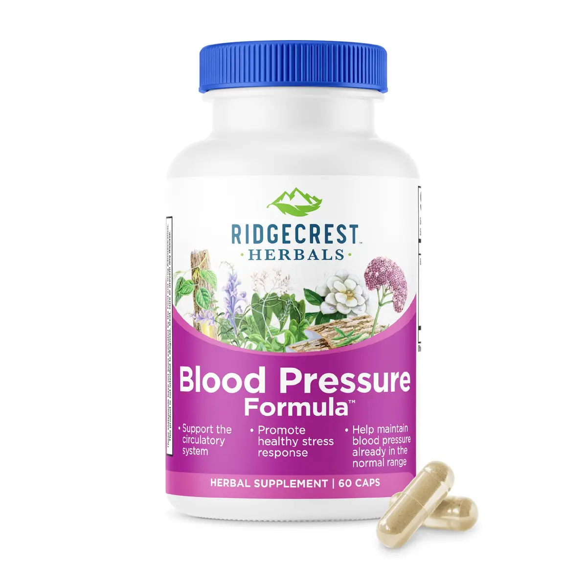 RidgeCrest Herbals Blood Pressure Herbal Formula Circulation Support 60 Ct | Natural Circulatory Tonic for Adults - main product image