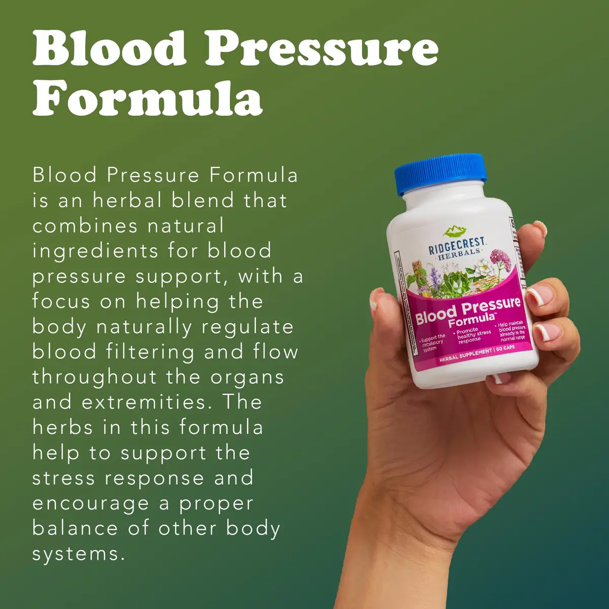 RidgeCrest Herbals Blood Pressure Herbal Formula Circulation Support 60 Ct | Natural Circulatory Tonic for Adults - view 5
