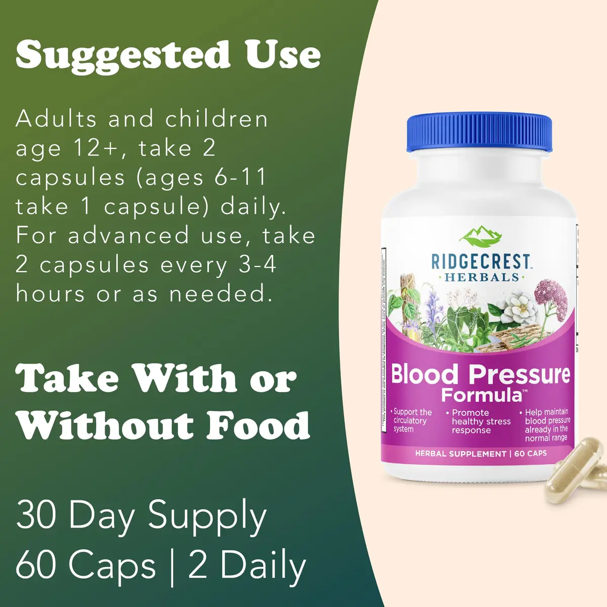 RidgeCrest Herbals Blood Pressure Herbal Formula Circulation Support 60 Ct | Natural Circulatory Tonic for Adults - view 4