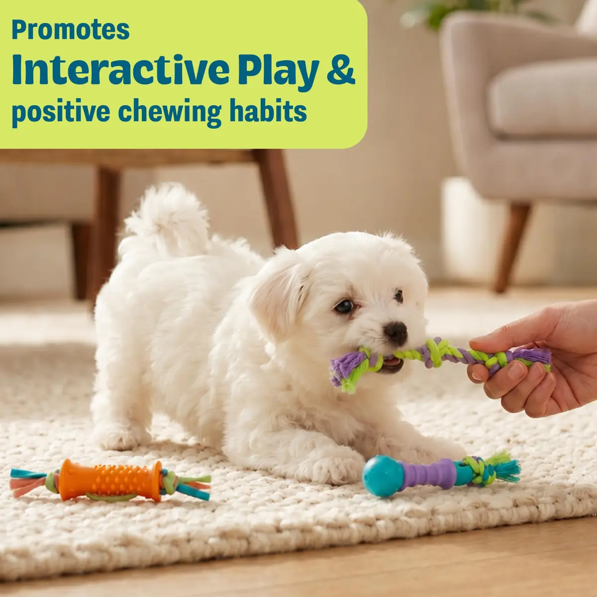 Pupstages Dental Chew Pack Mini Dog Chew Toys, 7" | Supports Healthy Teeth & Gums - view 4