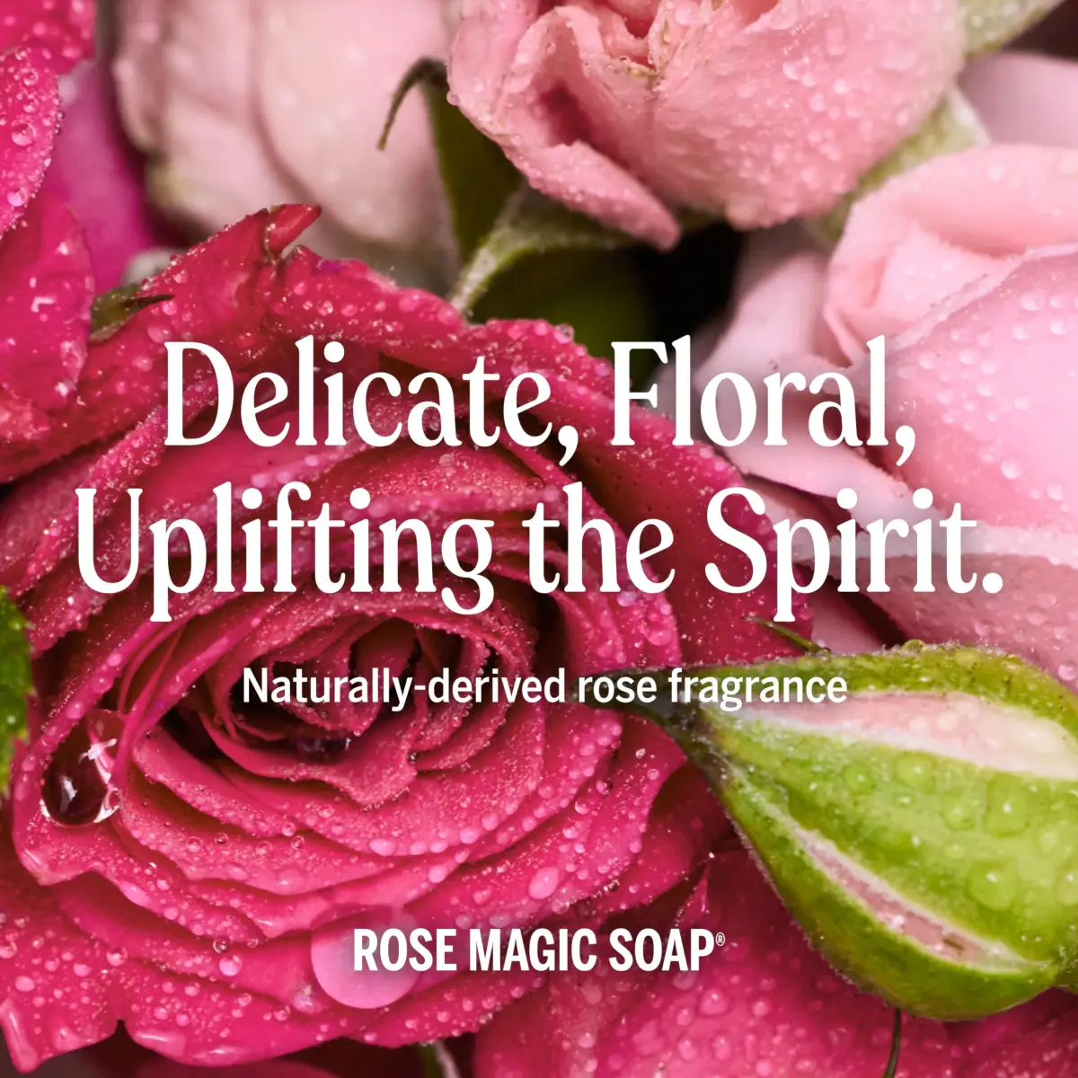 Dr. Bronner's Rose Pure-Castile Liquid Soap 473ml (16 Fl Oz) | Gentle All-Purpose Cleanser - view 5