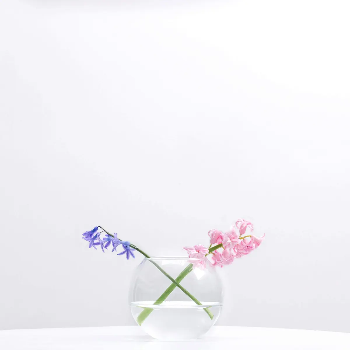 WGVI WGV Bowl Glass Vase Diameter 6" | Clear Bubble Planter for Home Decor - view 4