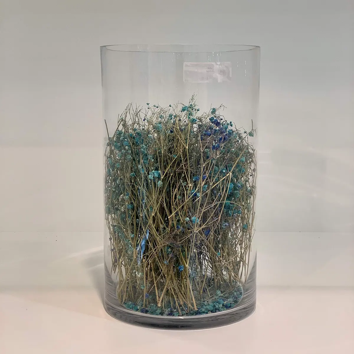 WGVI Clear Cylinder Glass Vase 18cm (7") x 30cm (12") | Handcrafted Home Accent Decor - view 5