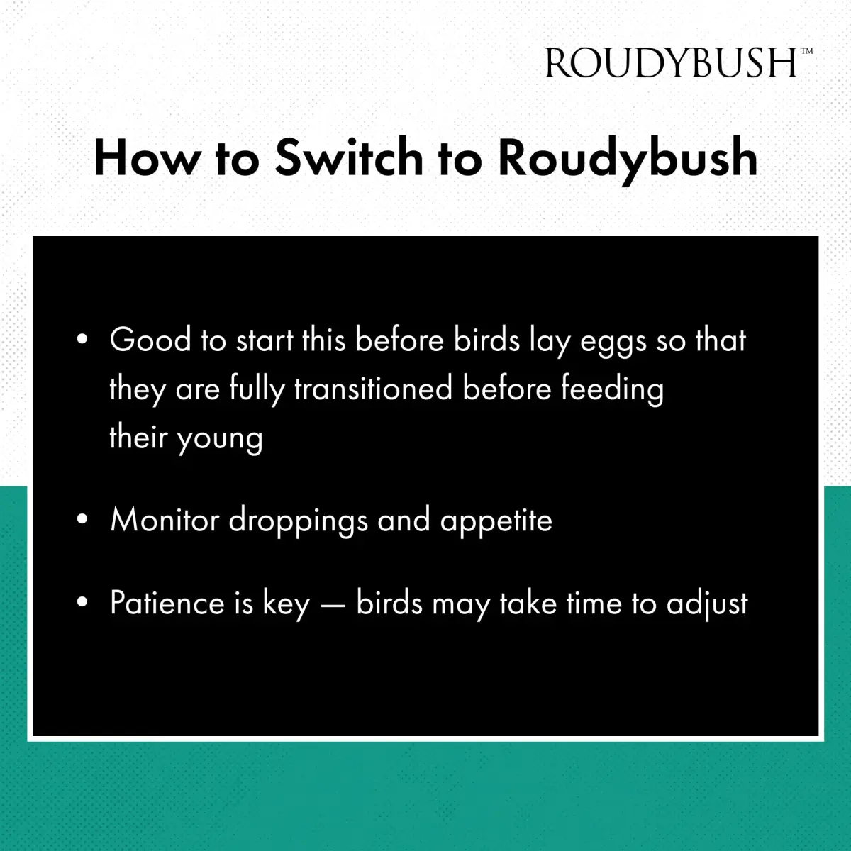 RoudyBush Daily Maintenance Bird Food Mini Pellets 227g (8 oz) | Formulated by Avian Nutritionist - view 7