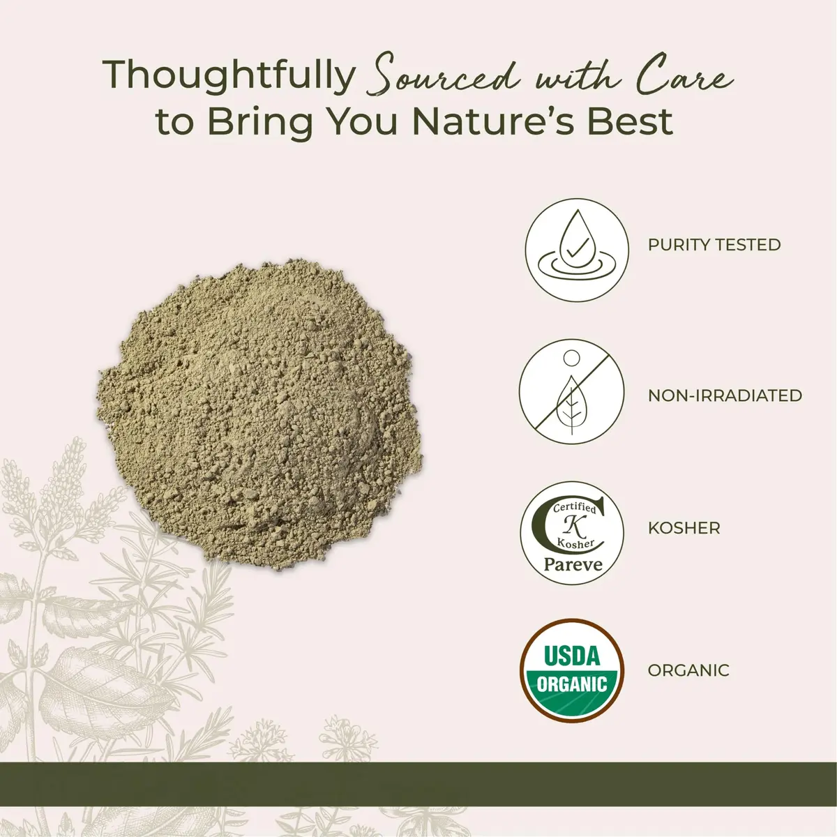 Starwest Botanicals Organic Bladderwrack Powder 113g (4 oz) | USDA Certified Organic Marine Botanical - view 4