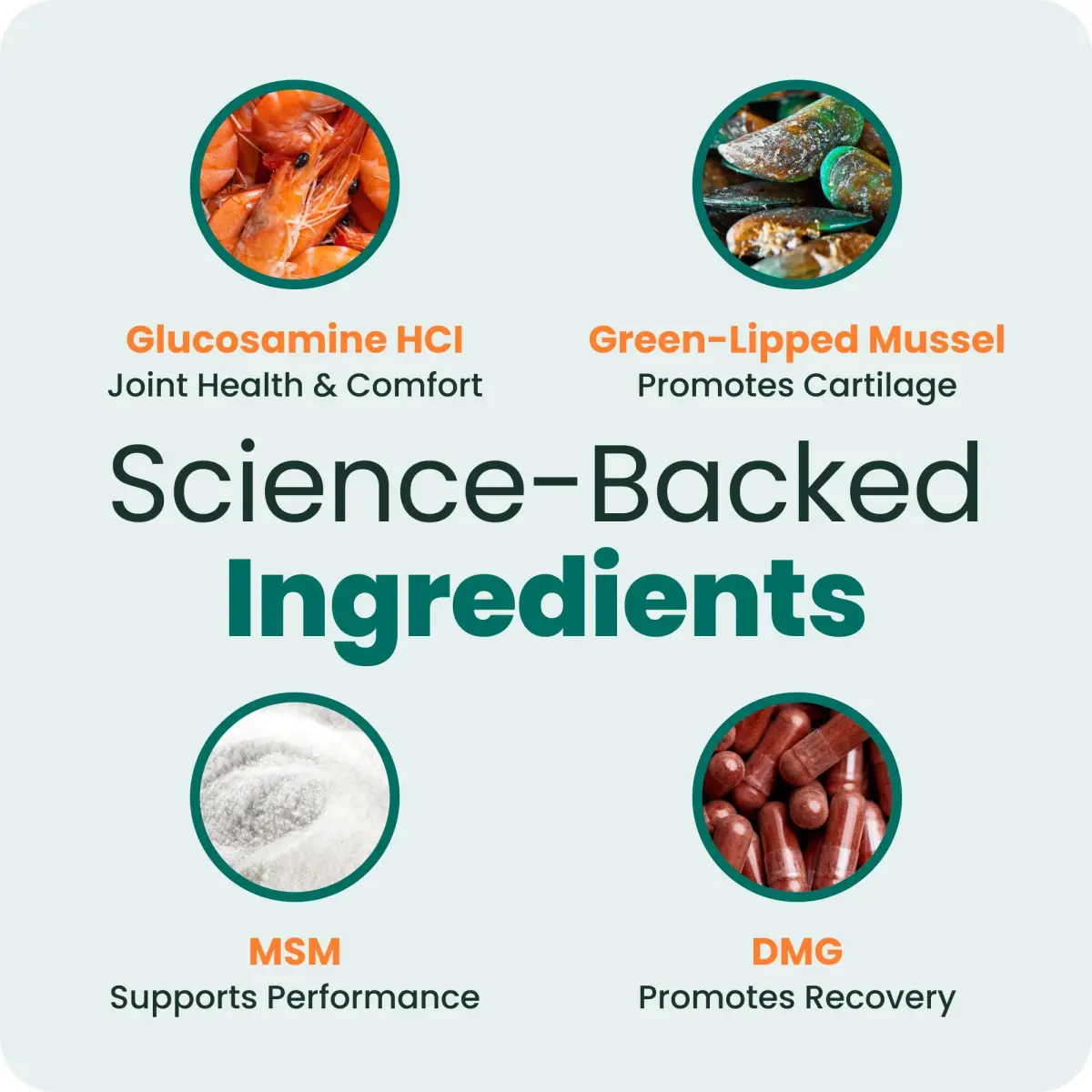 VetriScience Extra Strength Healthy Hip & Joint Chews for Dogs, 360 Chews (1080g / 2.4lb) | Vet-Formulated Mobility Support - view 4