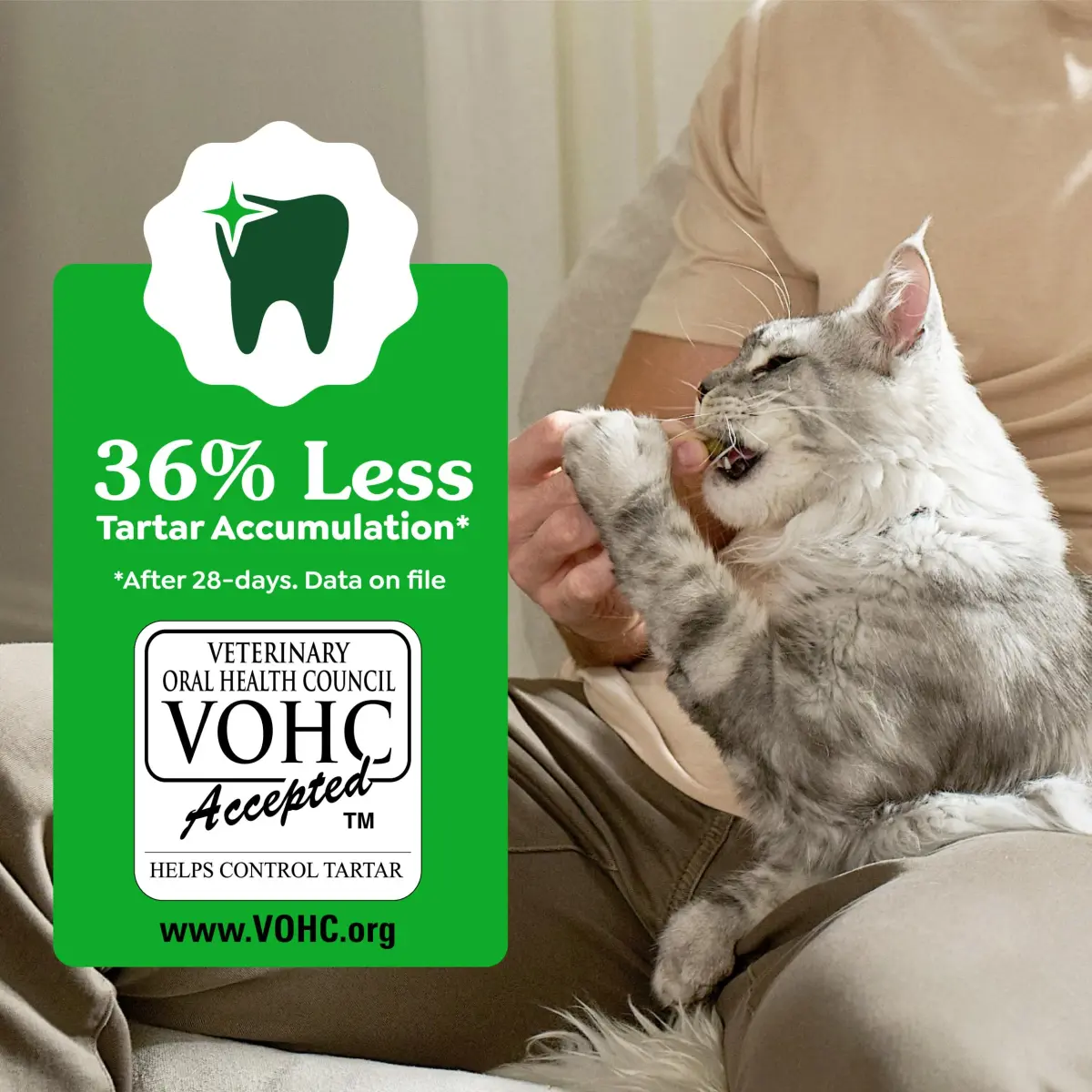 Greenies Feline Natural Dental Cat Treats, Tempting Tuna Flavor, 2.1 oz (60 g) | Vet-Recommended for Daily Dental Care - view 6