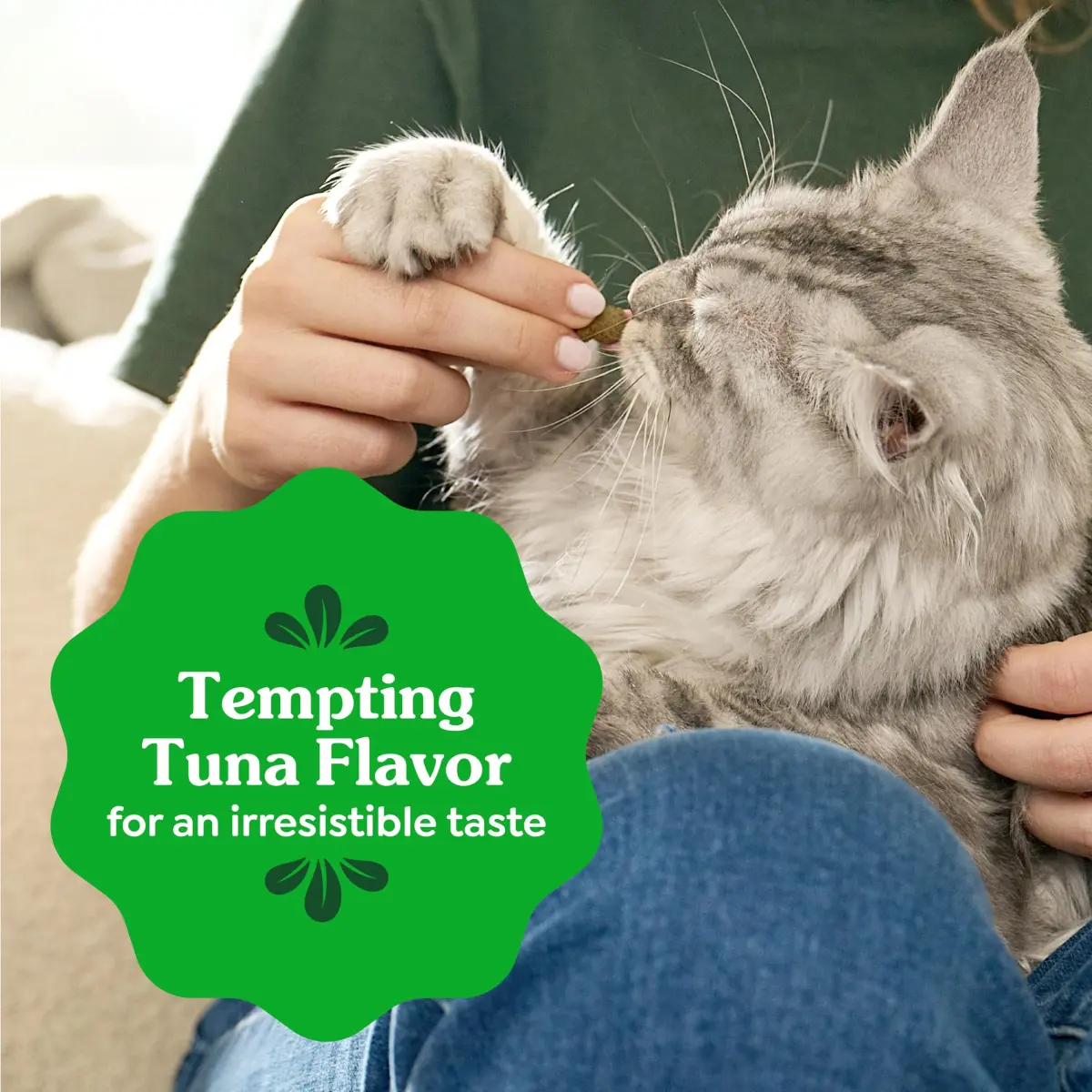 Greenies Feline Natural Dental Cat Treats, Tempting Tuna Flavor, 2.1 oz (60 g) | Vet-Recommended for Daily Dental Care - view 8