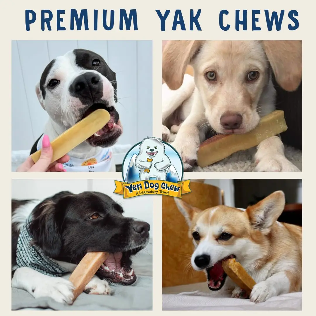 Yeti Himalayan Yak Cheese Dog Chew | Long-Lasting Medium 2.5 oz | Natural, Odor-Free - view 9