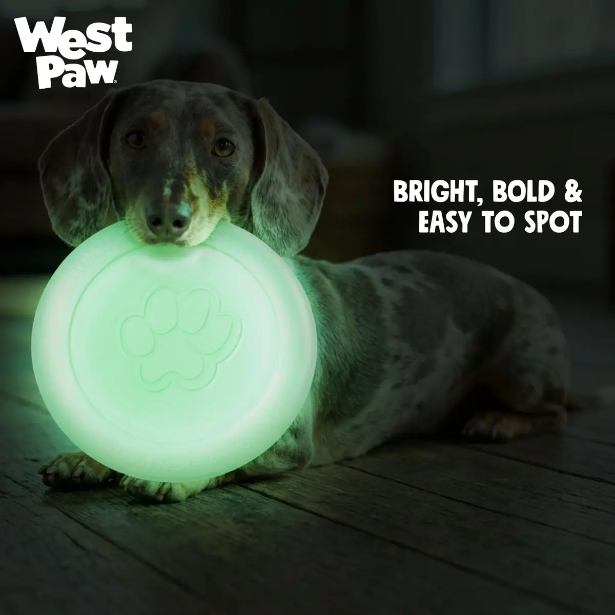 WEST PAW Zisc High-Flying Disc Dog Toy - Large - Glow | Durable, Floatable & Eco-Friendly - view 5