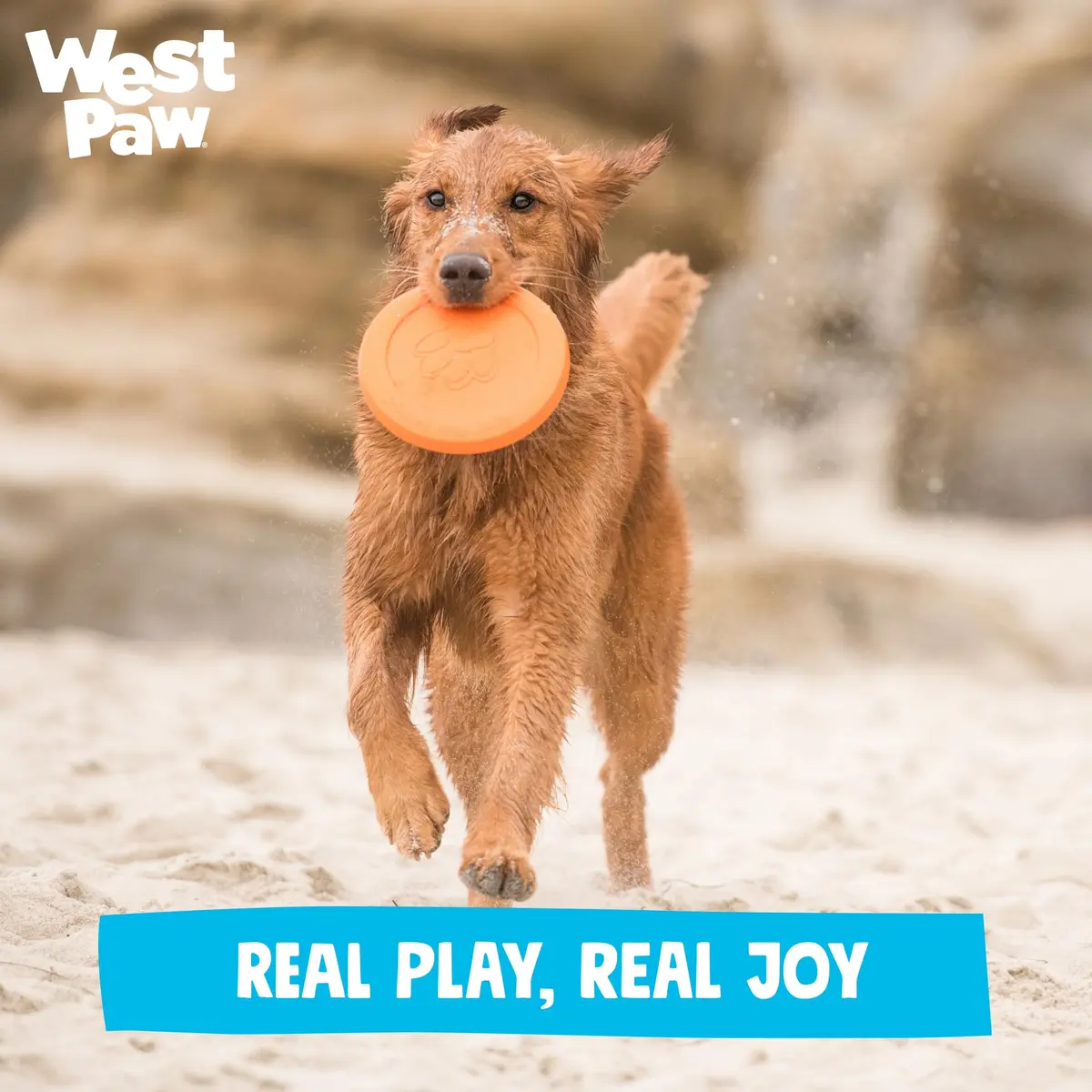 WEST PAW Zisc High-Flying Disc Dog Toy - Large - Glow | Durable, Floatable & Eco-Friendly - view 8