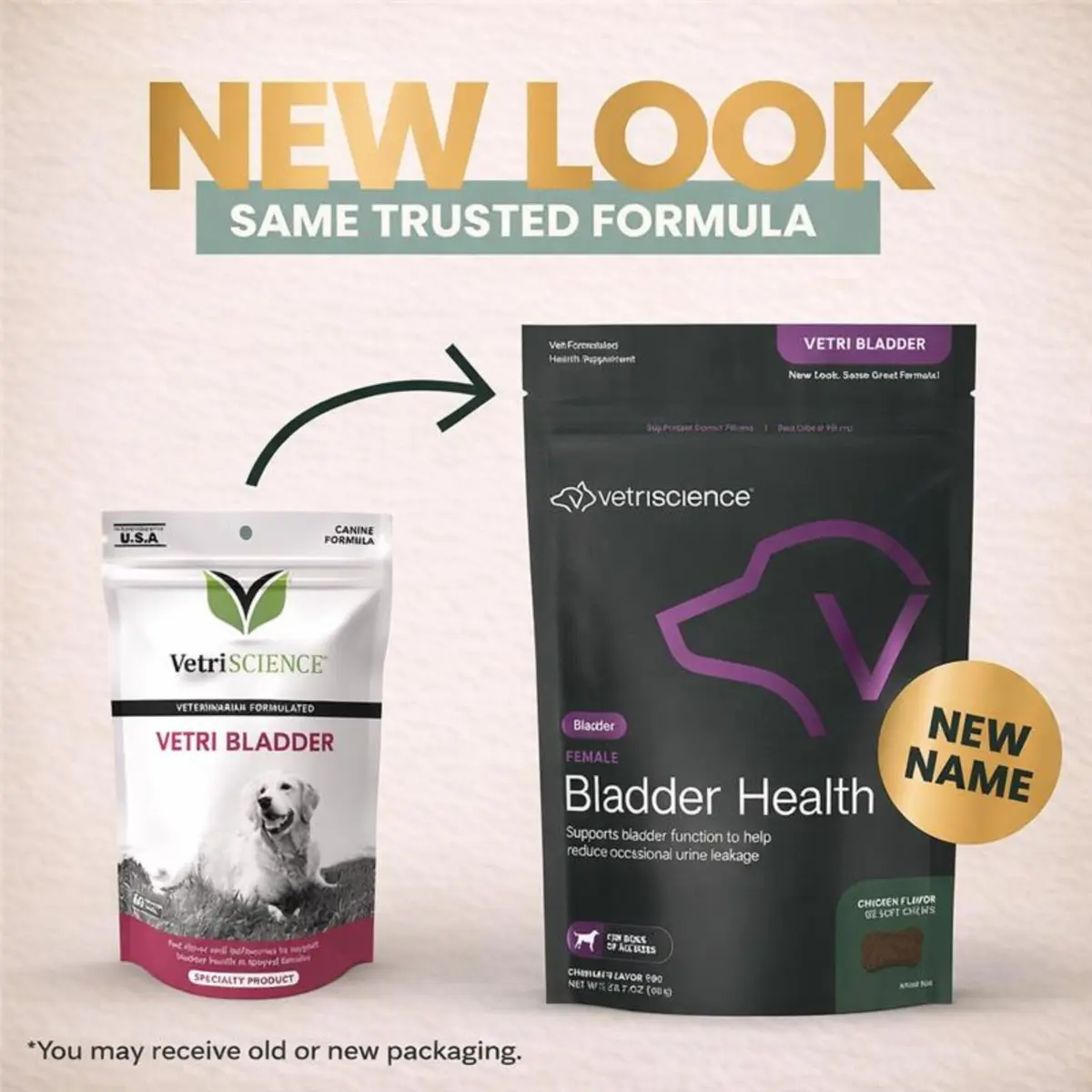 VetriScience Bladder Health Chews for Dogs, Chicken Flavor, 60 Count | Supports Bladder Control & Urinary Health - view 2